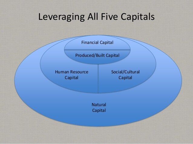 LeveragingAll5Capitals